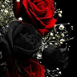 Meet your Posher, Maryann